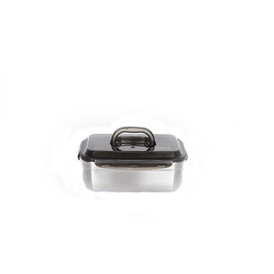 Snap-n-Lock Stainless Steel Container with Handle